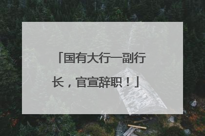 国有大行一副行长，官宣辞职！