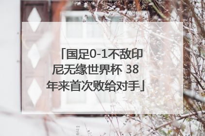 国足0-1不敌印尼无缘世界杯 38年来首次败给对手