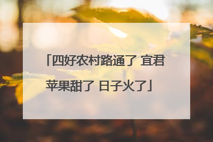 四好农村路通了 宜君苹果甜了 日子火了
