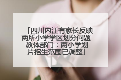 四川内江有家长反映两所小学学区划分问题 教体部门：两小学划片招生范围已调整
