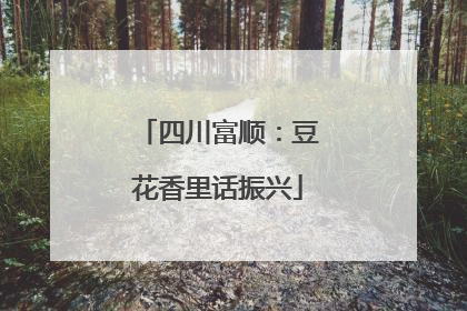 四川富顺：豆花香里话振兴