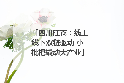 四川旺苍：线上线下双链驱动 小枇杷撬动大产业
