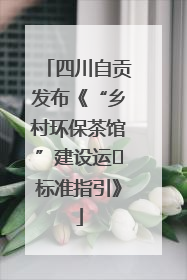四川自贡发布《“乡村环保茶馆”建设运⾏标准指引》