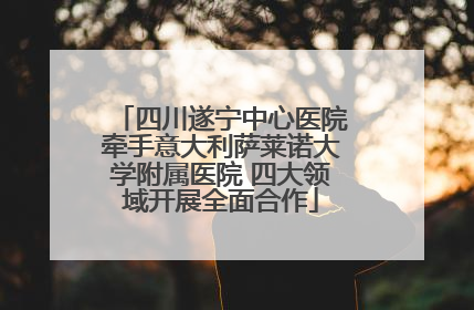 四川遂宁中心医院牵手意大利萨莱诺大学附属医院 四大领域开展全面合作
