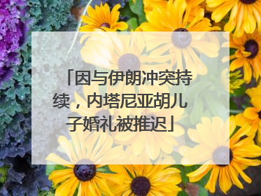 因与伊朗冲突持续，内塔尼亚胡儿子婚礼被推迟