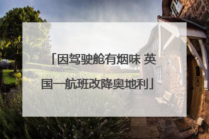 因驾驶舱有烟味 英国一航班改降奥地利