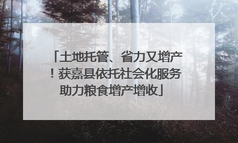 土地托管、省力又增产！获嘉县依托社会化服务助力粮食增产增收