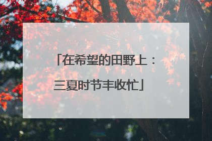 在希望的田野上：三夏时节丰收忙