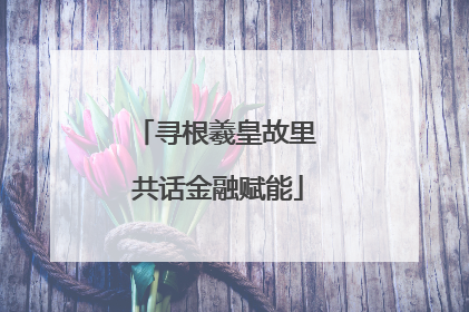 寻根羲皇故里 共话金融赋能