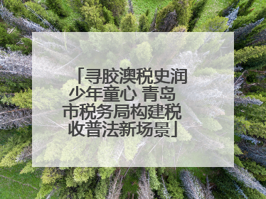 寻胶澳税史润少年童心 青岛市税务局构建税收普法新场景
