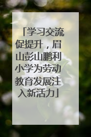 学习交流促提升，眉山彭山鹏利小学为劳动教育发展注入新活力