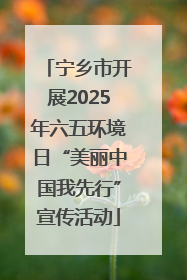 宁乡市开展2025年六五环境日“美丽中国我先行”宣传活动