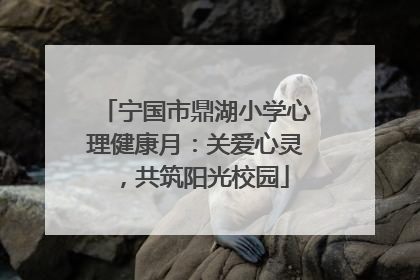 宁国市鼎湖小学心理健康月：关爱心灵，共筑阳光校园