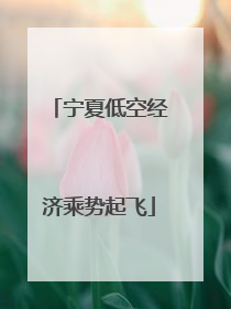 宁夏低空经济乘势起飞