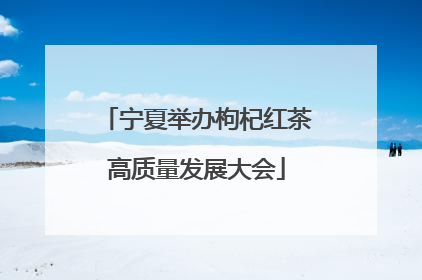 宁夏举办枸杞红茶高质量发展大会