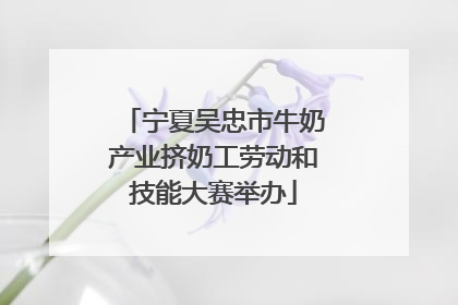 宁夏吴忠市牛奶产业挤奶工劳动和技能大赛举办