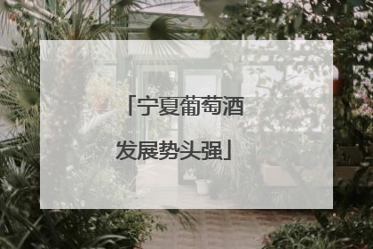 宁夏葡萄酒发展势头强