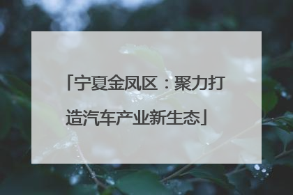 宁夏金凤区：聚力打造汽车产业新生态