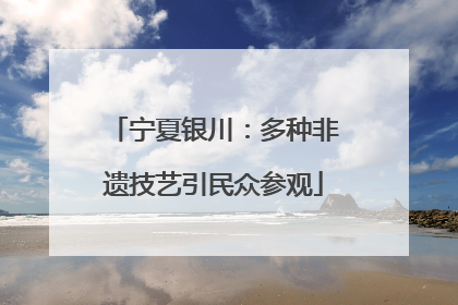 宁夏银川：多种非遗技艺引民众参观