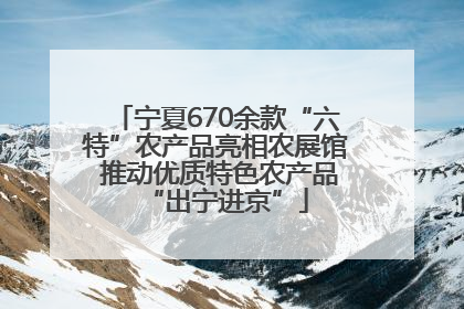 宁夏670余款“六特”农产品亮相农展馆 推动优质特色农产品“出宁进京”