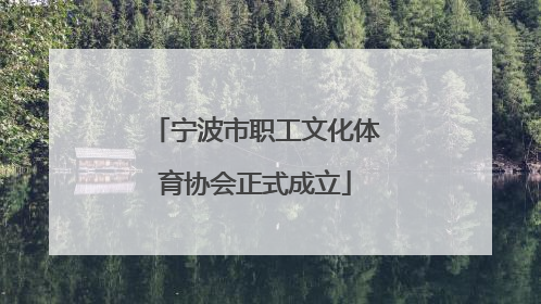 宁波市职工文化体育协会正式成立