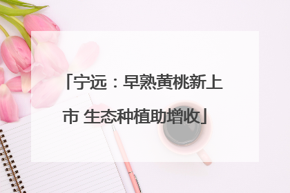 宁远：早熟黄桃新上市 生态种植助增收