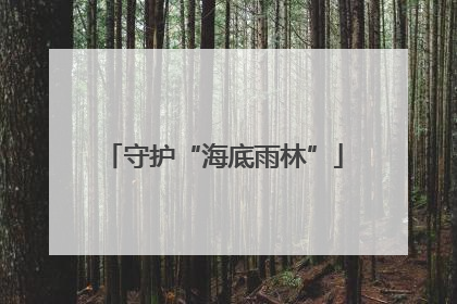 守护“海底雨林”