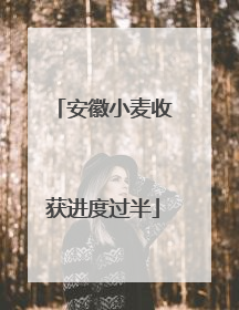 安徽小麦收获进度过半
