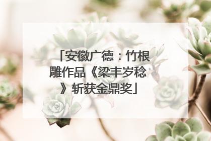 安徽广德：竹根雕作品《梁丰岁稔》斩获金鼎奖