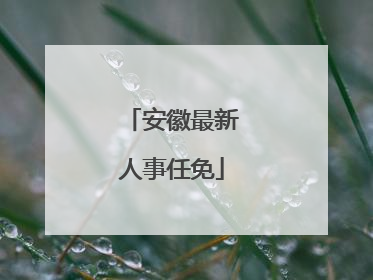 安徽最新人事任免