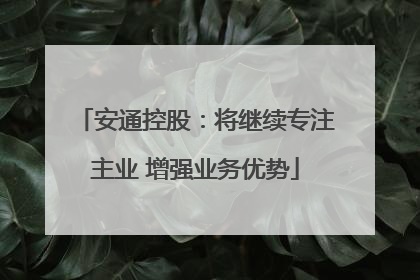 安通控股：将继续专注主业 增强业务优势