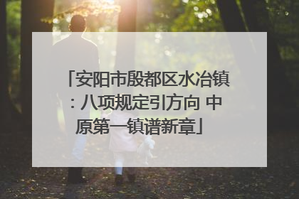安阳市殷都区水冶镇：八项规定引方向 中原第一镇谱新章
