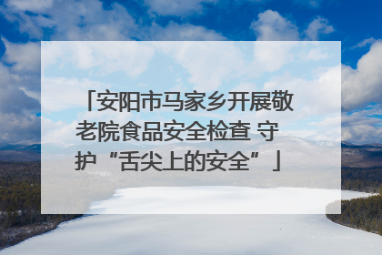 安阳市马家乡开展敬老院食品安全检查 守护“舌尖上的安全”