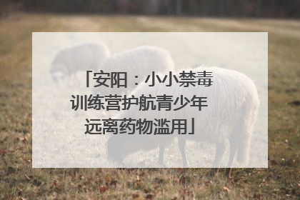 安阳：小小禁毒训练营护航青少年远离药物滥用
