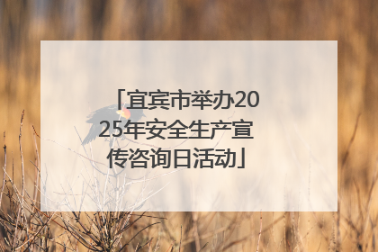 宜宾市举办2025年安全生产宣传咨询日活动