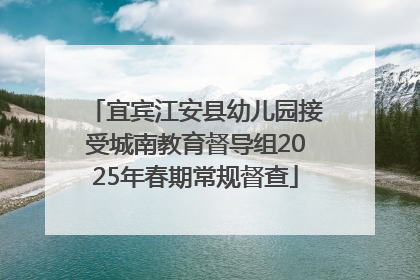 宜宾江安县幼儿园接受城南教育督导组2025年春期常规督查