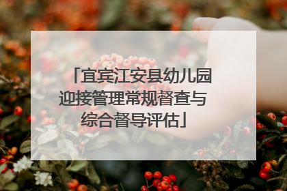 宜宾江安县幼儿园迎接管理常规督查与综合督导评估