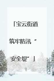 宝云街道筑牢防汛“安全堤”