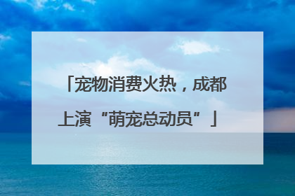 宠物消费火热，成都上演“萌宠总动员”