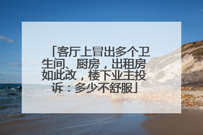 客厅上冒出多个卫生间、厨房，出租房如此改，楼下业主投诉：多少不舒服