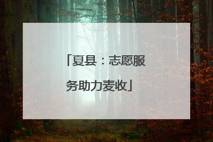 夏县：志愿服务助力麦收