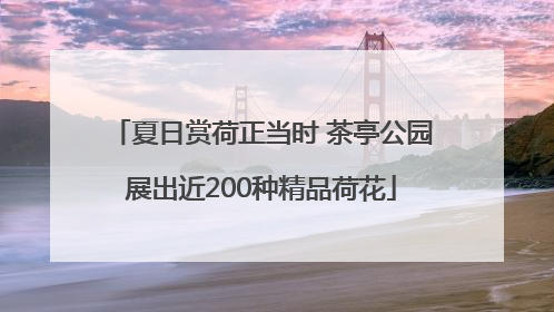 夏日赏荷正当时 茶亭公园展出近200种精品荷花