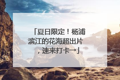 夏日限定！杨浦滨江的花海超出片，速来打卡→