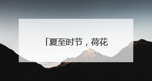 夏至时节，荷花初绽，市民游客公园寻觅荷香雅韵