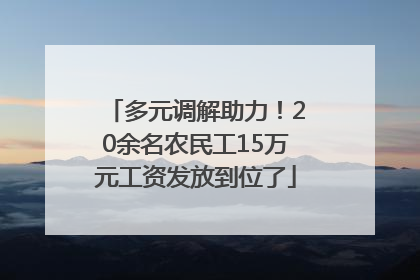多元调解助力！20余名农民工15万元工资发放到位了