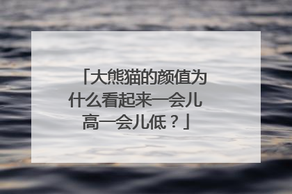 大熊猫的颜值为什么看起来一会儿高一会儿低？