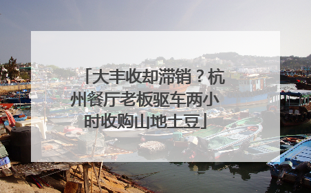 大丰收却滞销？杭州餐厅老板驱车两小时收购山地土豆