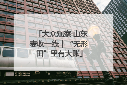 大众观察·山东麦收一线｜“无形田”里有大账