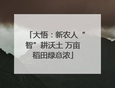 大悟：新农人“智”耕沃土 万亩稻田绿意浓