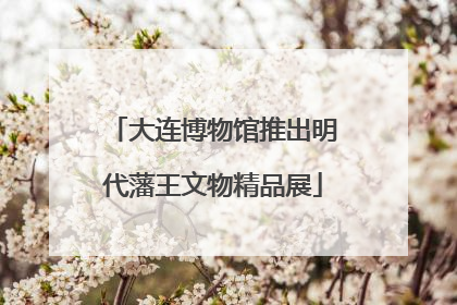 大连博物馆推出明代藩王文物精品展